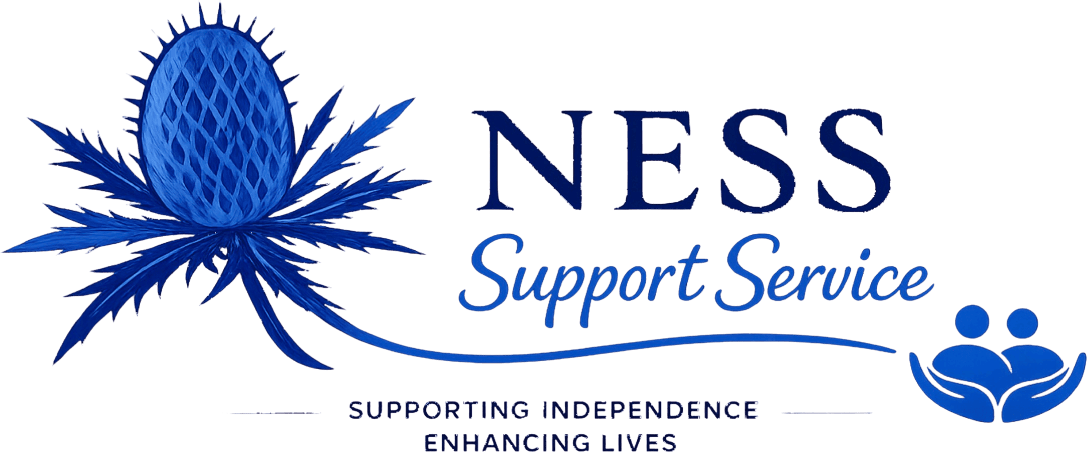 NESS Integrated Care Ltd